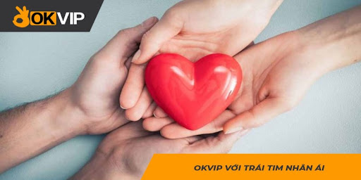 OKVIP tổ chức các hoạt động thiện nguyện