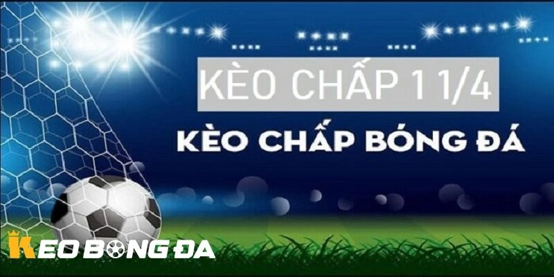 Tìm Hiểu Kèo Chấp 1/4 (0.25) Trong Bóng Đá – Giải Mã Chi Tiết và Cách Đọc Chuẩn